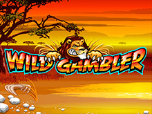 Wild Gambler