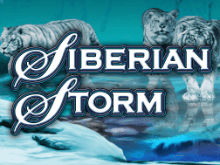 Siberian Storm