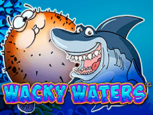 Wacky Waters