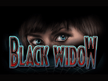 Black Widow