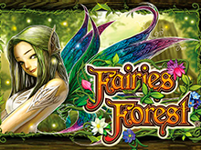 Fairies Forest