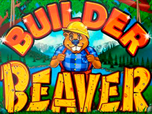 Builder Beaver